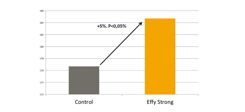 FE_PN_EffyStrong