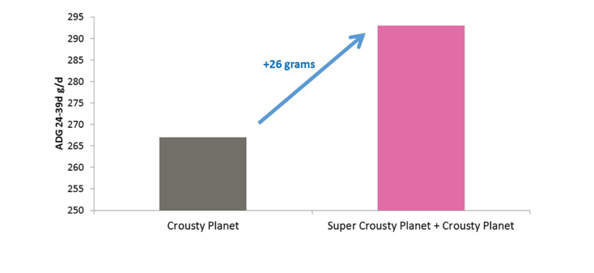 FE_SN_SuperCroustyPlanet