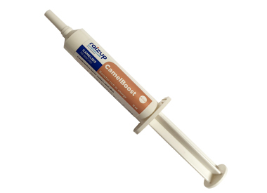 CamelBoost syringe