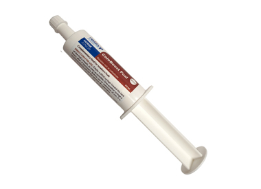 ColoBoost Foal syringe