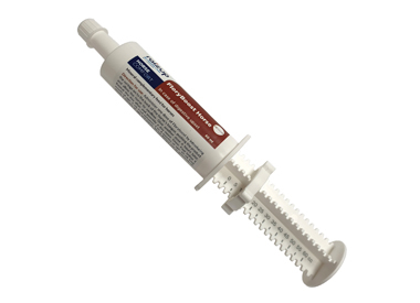 FloryBoost horse syringe