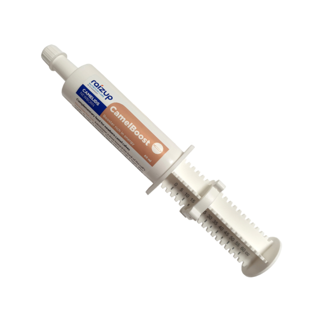 CamelBoost 60 ml syringe