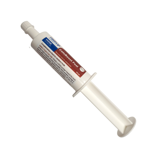 60ml syringe of ColoBoost Foal
