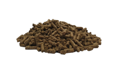 Pellets of Future Star