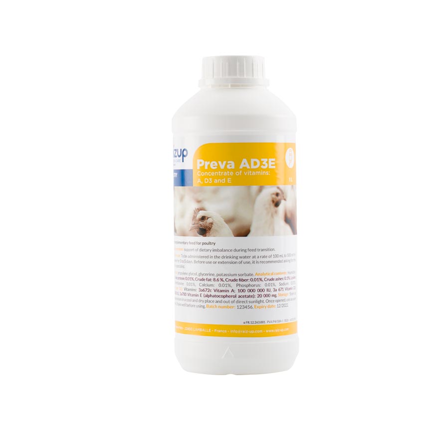 liquid vitamin e for dogs