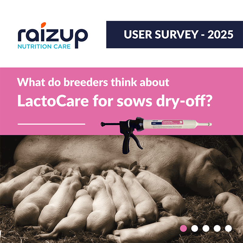 Survey